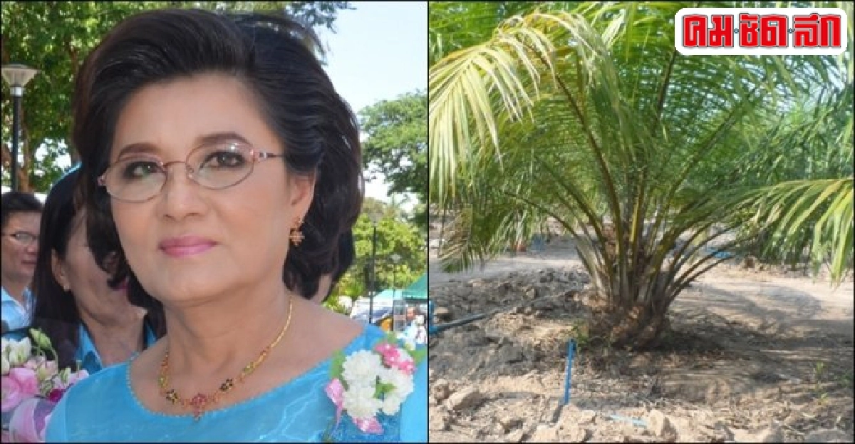 'กมลพันธ์ ไตรศุภโชค' นำพัฒนาเกษตรด้วยเทคโนฯ 'กมลพันธ์ ไตรศุภโชค' นำพัฒนาเกษตรด้วยเทคโนฯ
