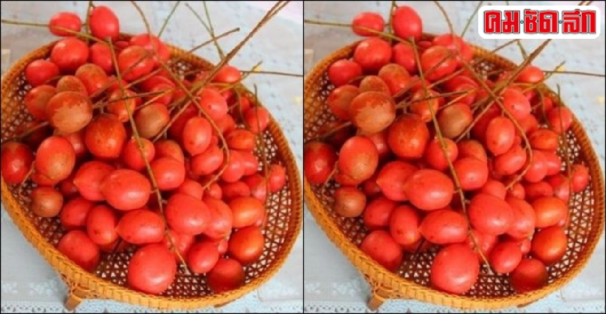 'ส้มไฟดิน' ยอดใบแกงได้