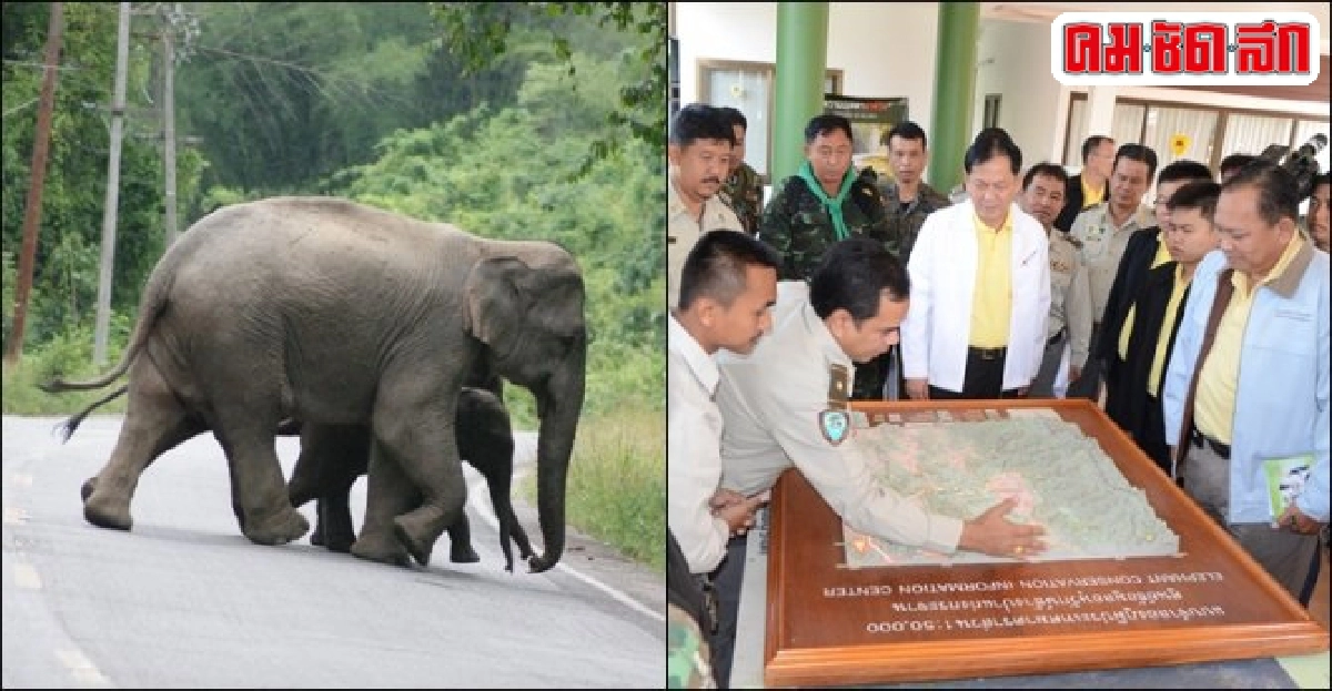 ทางรอดแก้ปัญหาช้างป่าทำร้ายชาวบ้าน ทางรอดแก้ปัญหาช้างป่าทำร้ายชาวบ้าน