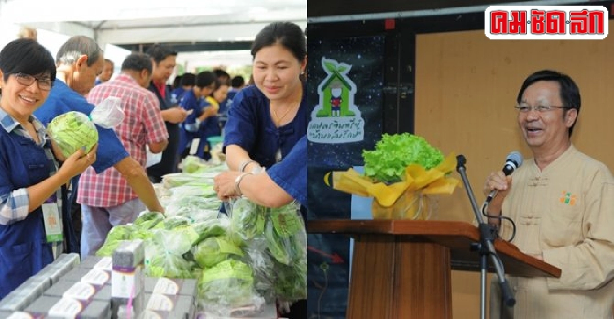 'บ้านแสนรักษ์'ต้นแบบเกษตรอินทรีย์ 'บ้านแสนรักษ์'ต้นแบบเกษตรอินทรีย์