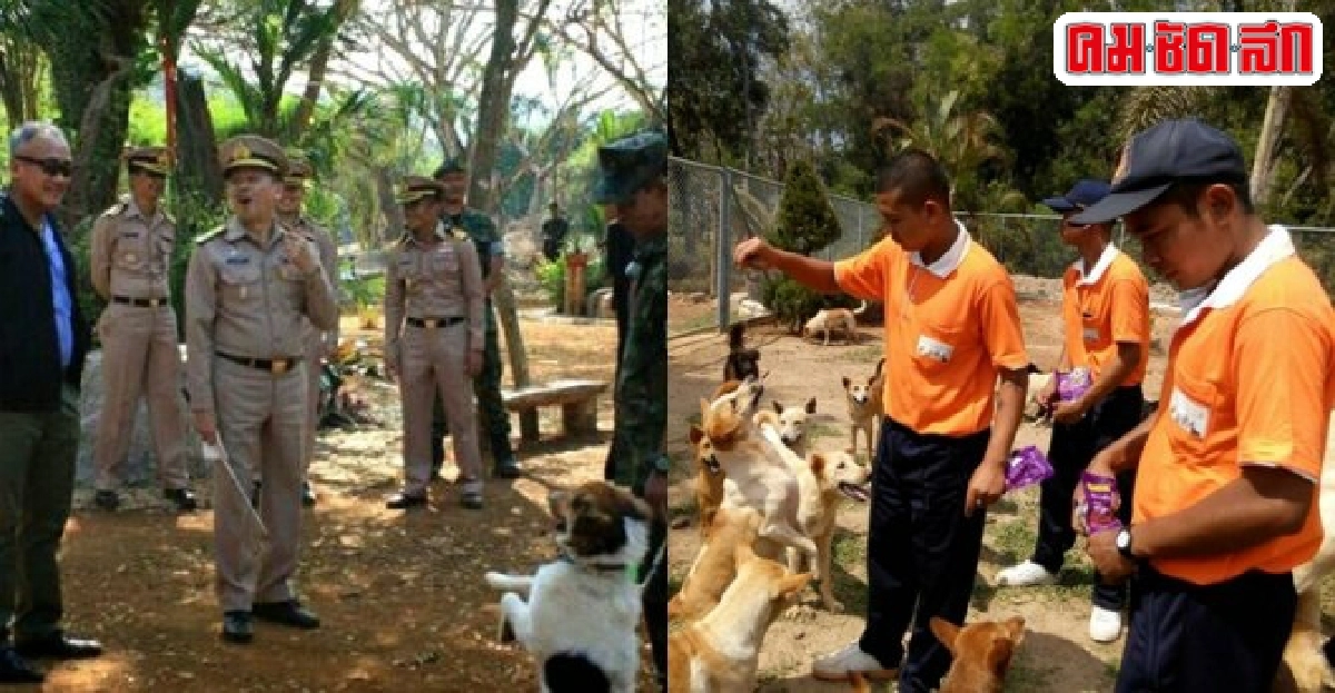 ศูนย์เลี้ยงดูสุนัขจรจัดทร.บ้านหลังใหม่ของสัตว์ไร้ที่พึ่ง