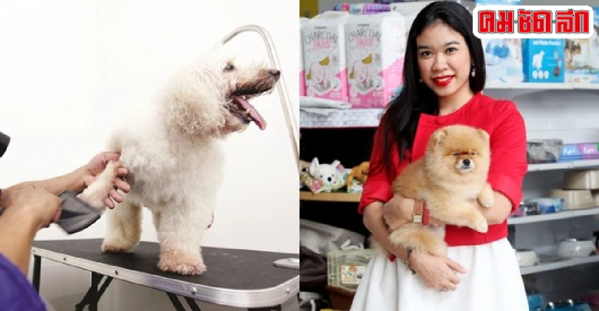 'พลอย'ฐิติกุล อยู่วิทยา ก้าวใหม่ธุรกิจ...ลิขิตเอง 'พลอย'ฐิติกุล อยู่วิทยา ก้าวใหม่ธุรกิจ...ลิขิตเอง