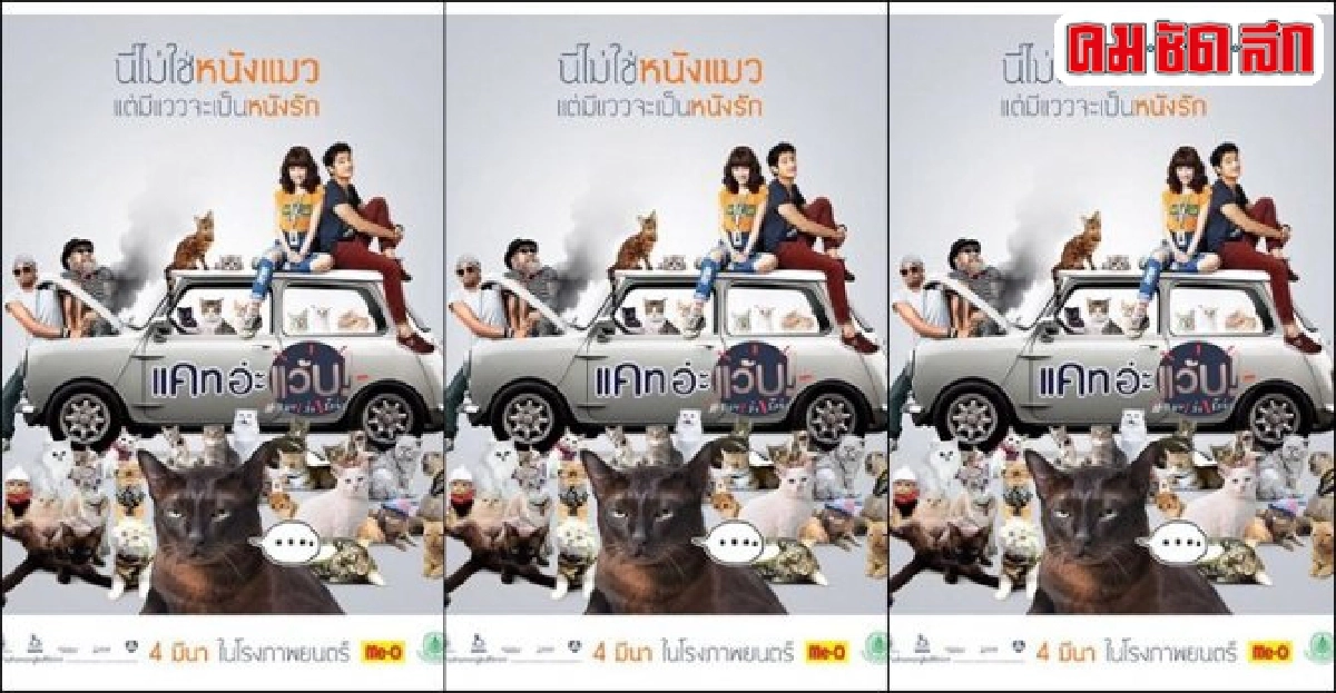 เอกเขนกดูหนัง:'แคทอ่ะแว้บ'