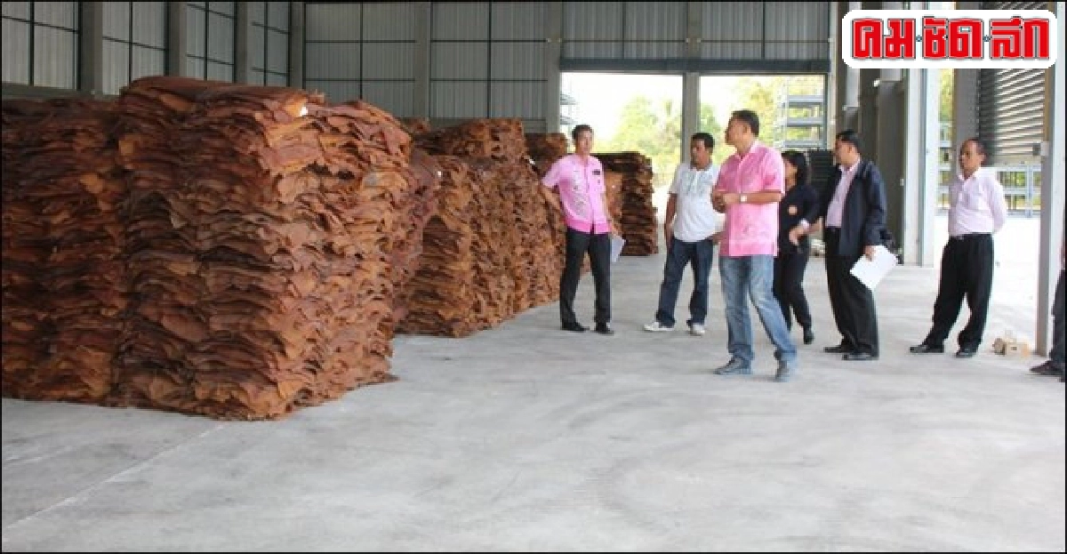 ตรวจสอบยางสหกรณ์หลังพบตัวเลขสูงหวั่นสวมรอย ตรวจสอบยางสหกรณ์หลังพบตัวเลขสูงหวั่นสวมรอย