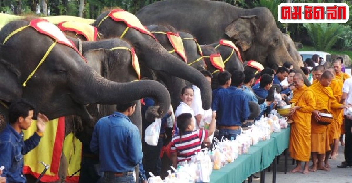 สวนนงนุชพัทยาตักบาตรวันช้างไทย สวนนงนุชพัทยาตักบาตรวันช้างไทย