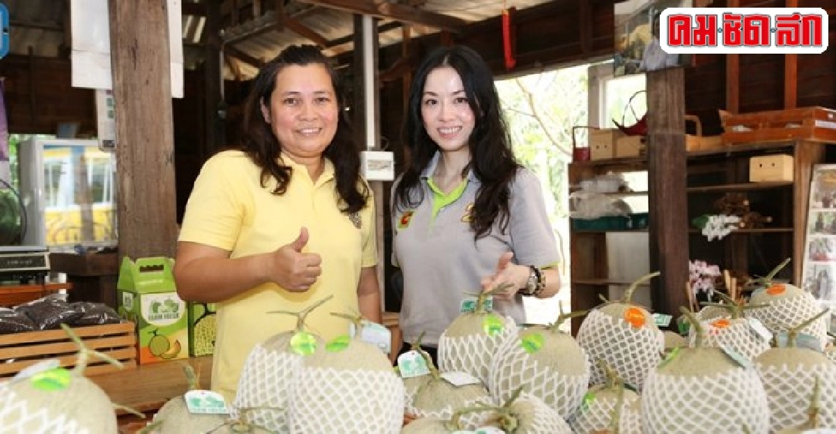 ย้อนรอยเดิมสู่ 'สวนวาสนา' แหล่งผลิตเมล่อนป้อนห้างดัง