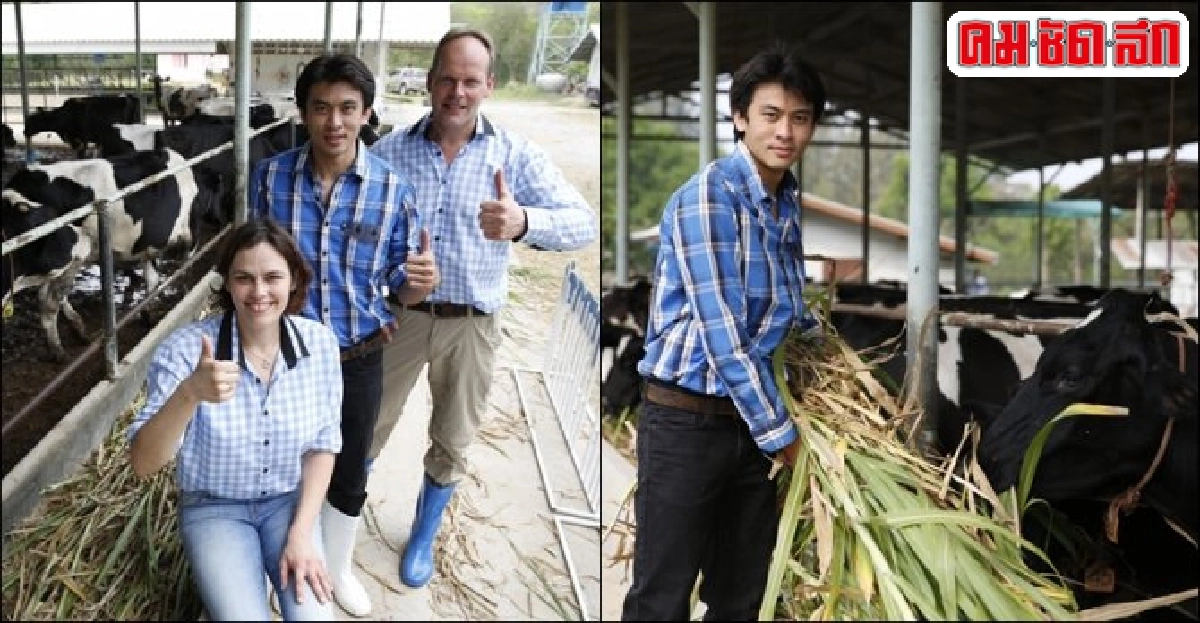 'วรพงษ์' ฟาร์มนมต้นแบบ วิถีการผลิตมาตรฐานดัตช์ 'วรพงษ์' ฟาร์มนมต้นแบบ วิถีการผลิตมาตรฐานดัตช์