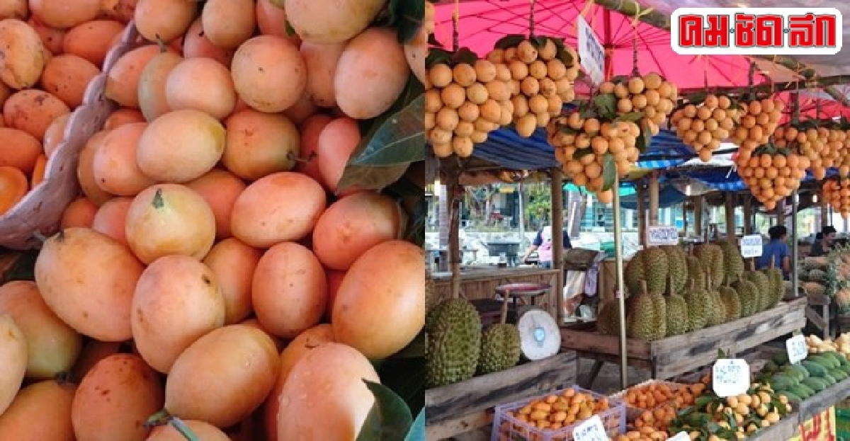 สีสันตะวันออก:จุดหมาย...รายทาง 