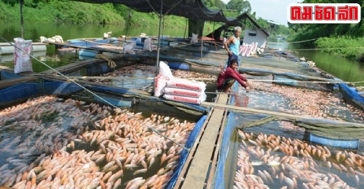 ตรวจสอบกันเองช่วยรัฐ ตรวจสอบกันเองช่วยรัฐ