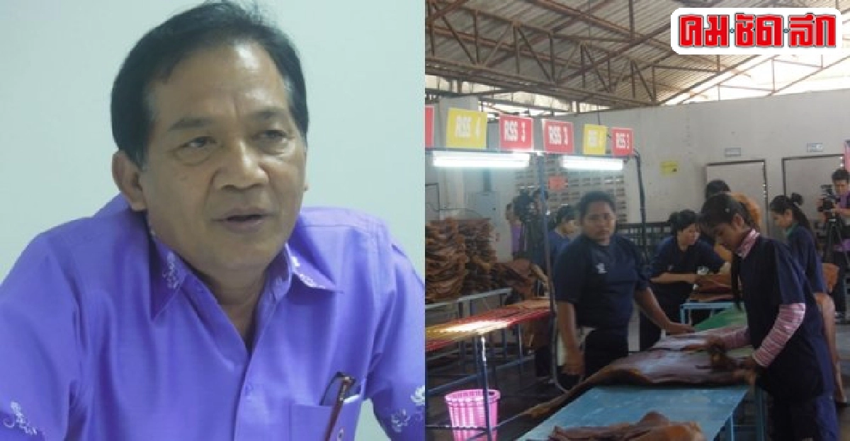 ตามสกย.ตะลุย'กระบี่-ตรัง'ย้อนรอยที่มายางพาราไทย ตามสกย.ตะลุย'กระบี่-ตรัง'ย้อนรอยที่มายางพาราไทย