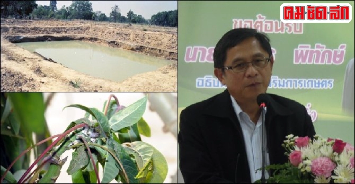 รณรงค์ 'เกษตรกร' รับมือภัยแล้งยาว รณรงค์ 'เกษตรกร' รับมือภัยแล้งยาว