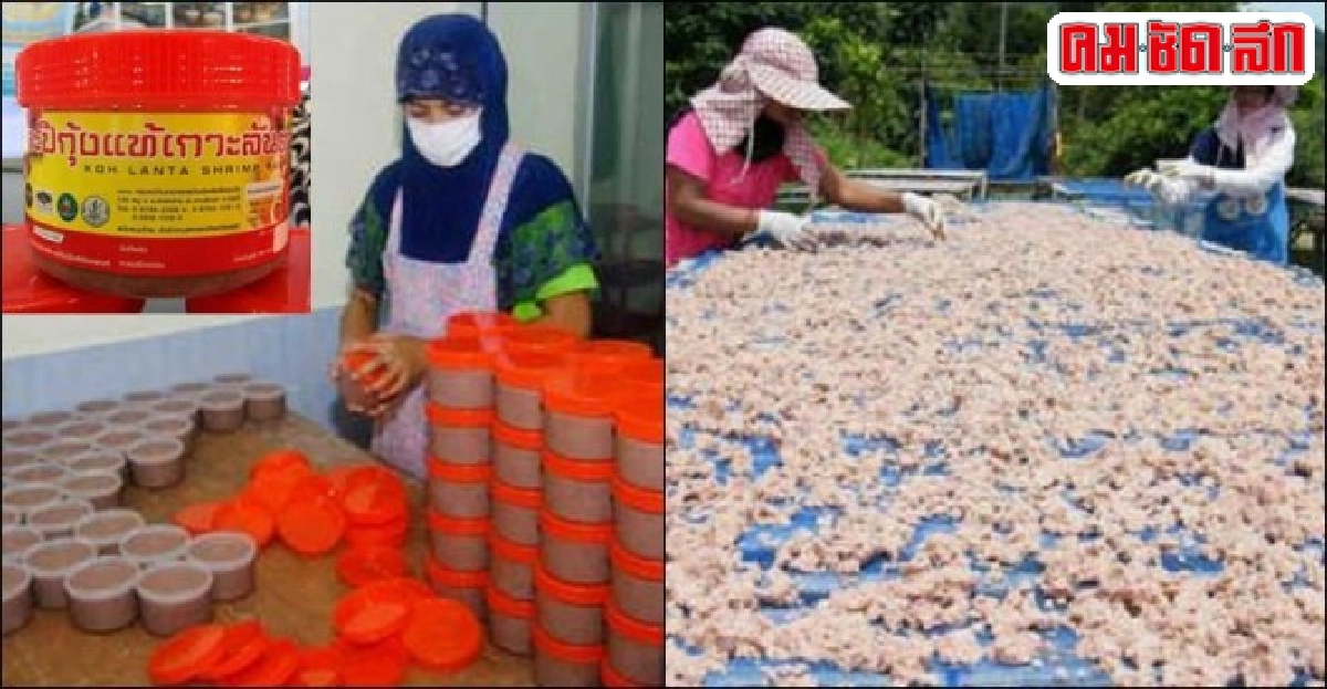 สานต่อภูมิผลิต 'กะปิกุ้งแท้' สูตรสร้างชื่อ 'บ้านทุ่งหยีเพ็ง' สานต่อภูมิผลิต 'กะปิกุ้งแท้' สูตรสร้างชื่อ 'บ้านทุ่งหยีเพ็ง'