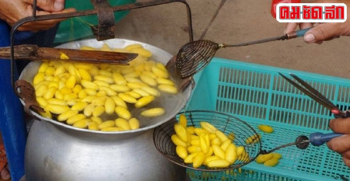 'หม่อนไหม' รณรงค์ใช้น้ำอย่างรู้คุณค่า 'หม่อนไหม' รณรงค์ใช้น้ำอย่างรู้คุณค่า