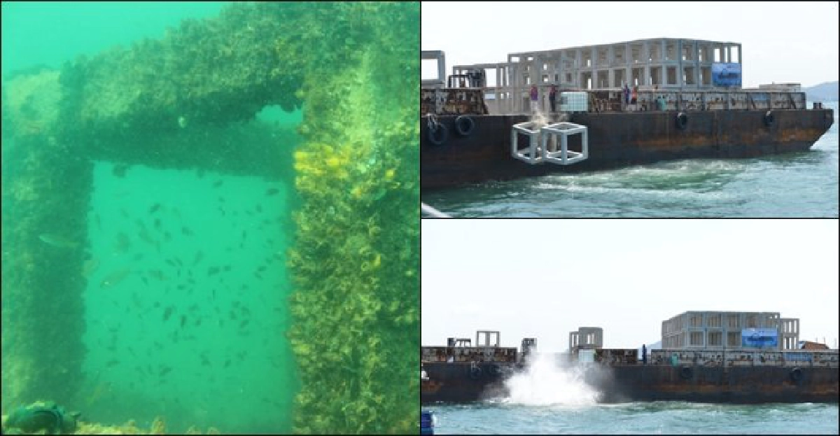 บ้านหลังใหม่ใต้ทะเลทอง 'ปะการังเทียม' ชุบชีวิตประมงพื้นบ้าน บ้านหลังใหม่ใต้ทะเลทอง 'ปะการังเทียม' ชุบชีวิตประมงพื้นบ้าน