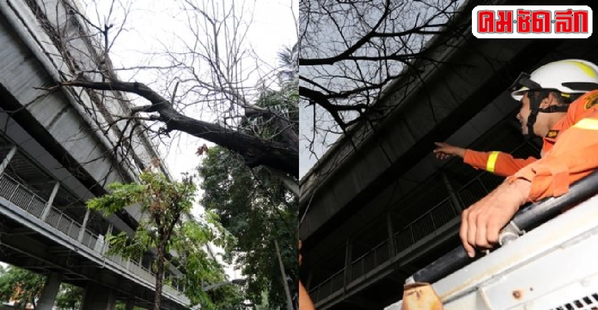 ฝนถล่มกรุง!ไม้พัดปิดราง'บีทีเอส'ระดมเจ้าหน้าที่เร่งแก้ ฝนถล่มกรุง!ไม้พัดปิดราง'บีทีเอส'ระดมเจ้าหน้าที่เร่งแก้