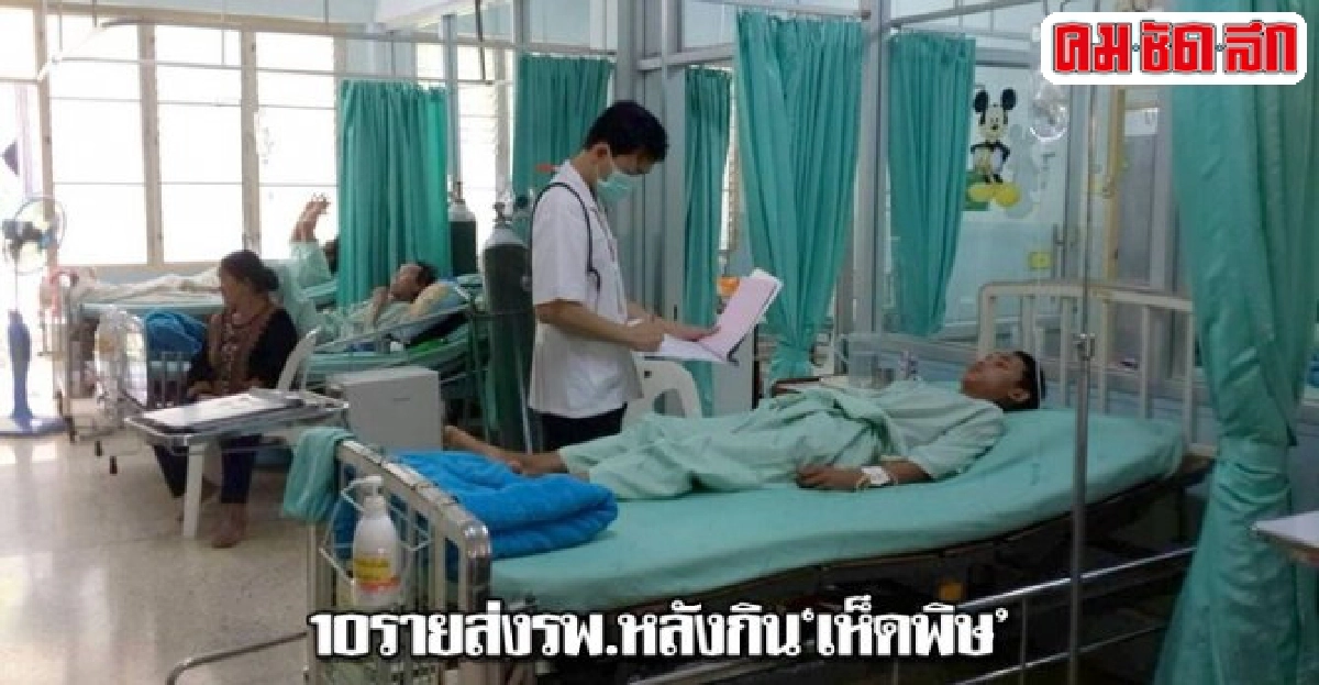 หามชาวบ้านแม่จริม10รายส่งรพ.หลังกินเห็ดพิษ หามชาวบ้านแม่จริม10รายส่งรพ.หลังกินเห็ดพิษ