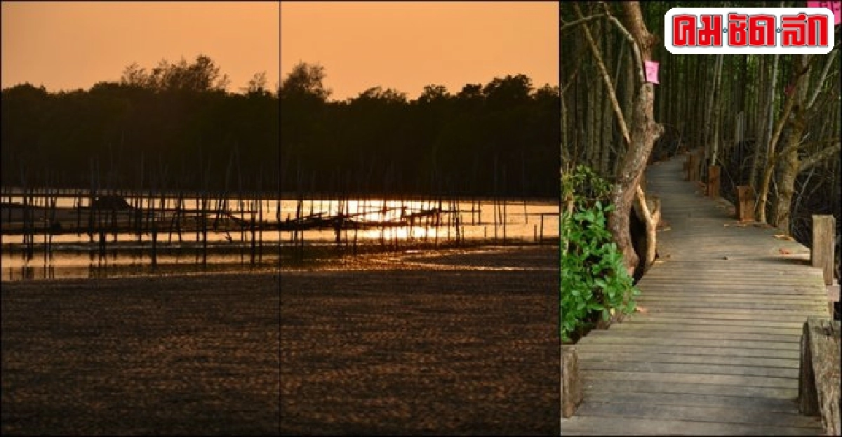 ชวนเที่ยว : กินลม ชมหอย ปากน้ำประแส ชวนเที่ยว : กินลม ชมหอย ปากน้ำประแส