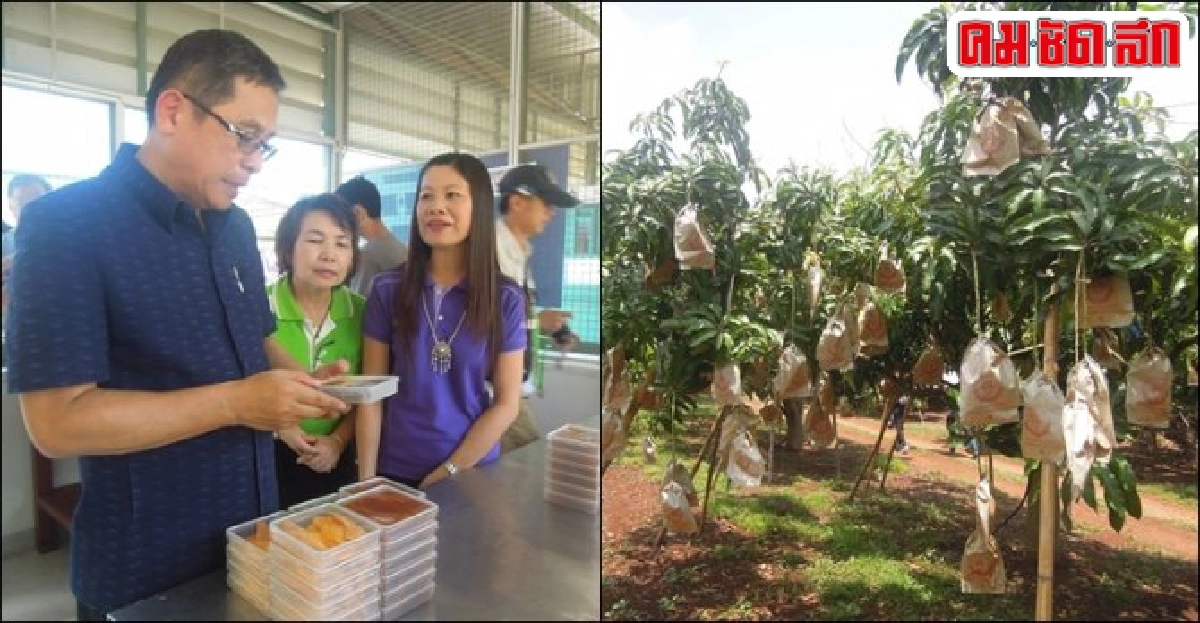 ขึ้นเหนือตระเวนชม 'เกษตรแปลงใหญ่'