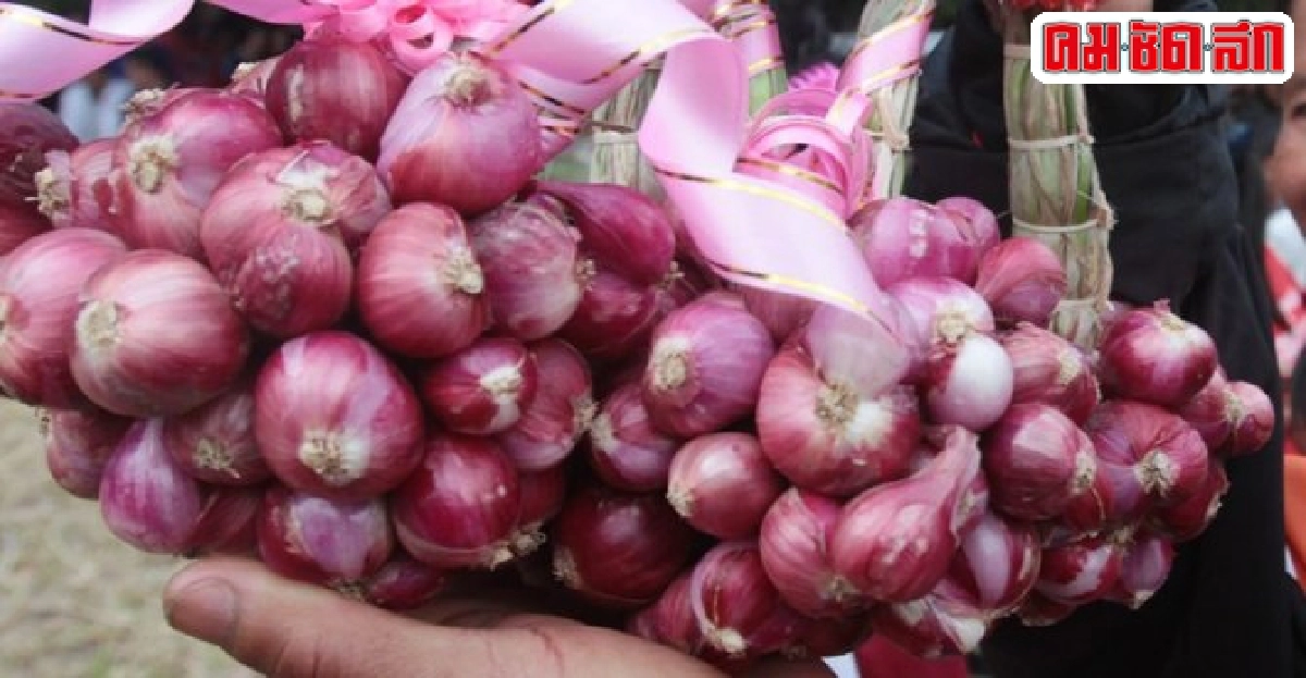 เกษตรกรโอดภัยแล้งทำหอมแดงเน่า