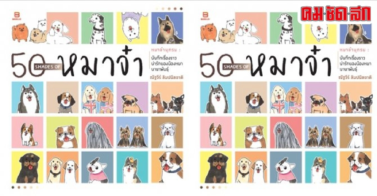 ฟอร์ยู...สักเล่ม : หมาจ๋า..PandaDog