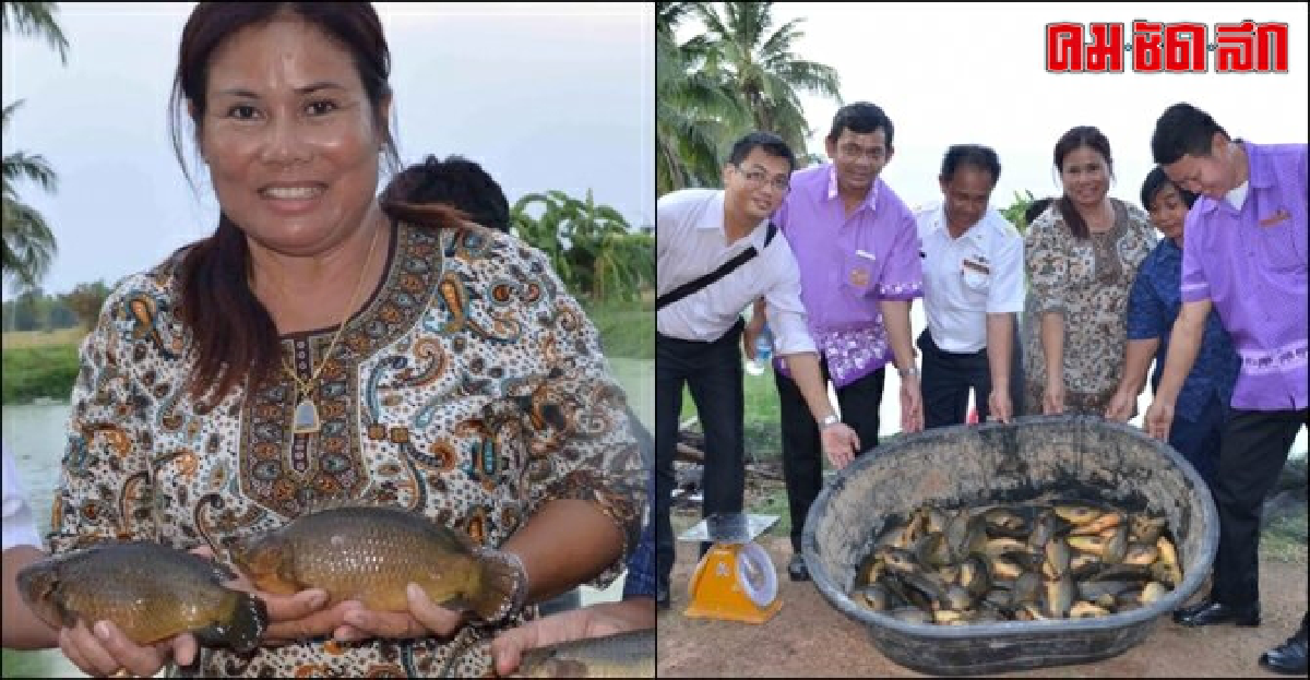เลี้ยง 'ปลาหมอ' สร้างเงิน ผลิตผลจาก 'ฟาร์มโปโล'