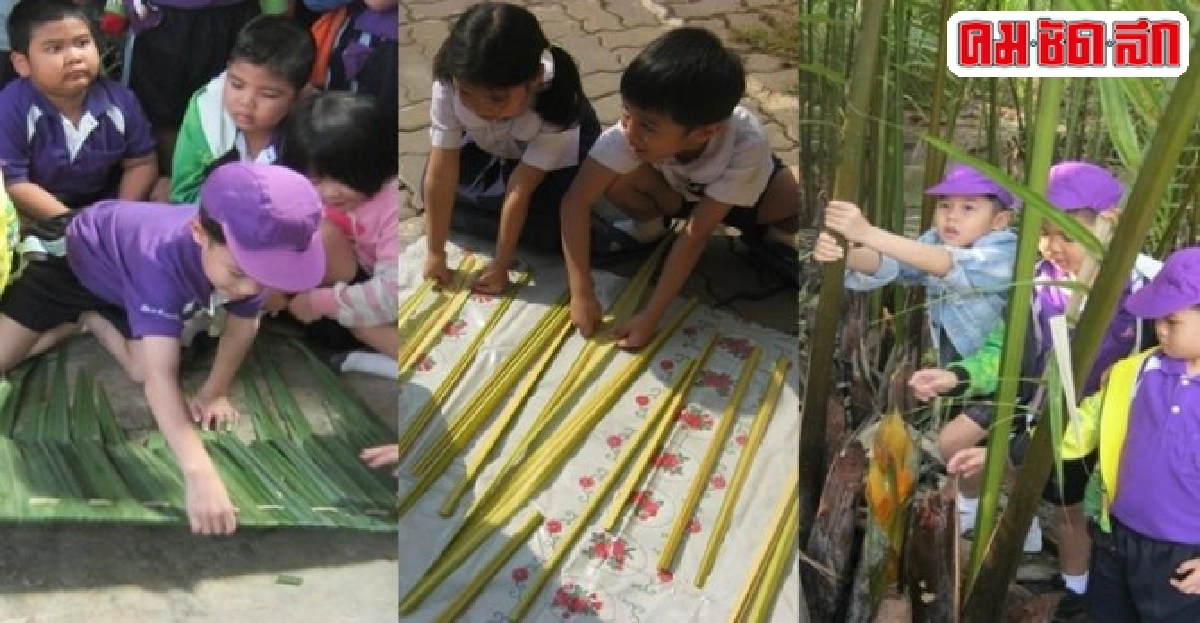 'ต้นจากแสนสนุกสะเต็มศึกษา''อนุบาลสมุทรสงคราม'เรียนรู้ใกล้ตัว 'ต้นจากแสนสนุกสะเต็มศึกษา''อนุบาลสมุทรสงคราม'เรียนรู้ใกล้ตัว