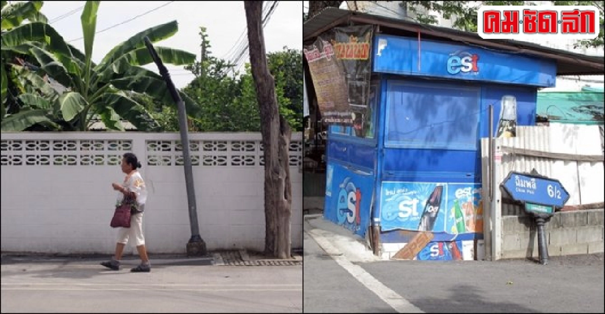 ป้ายบอกซอยหัก-ต้นไม้ขึ้นรกบังป้ายบอกถนน