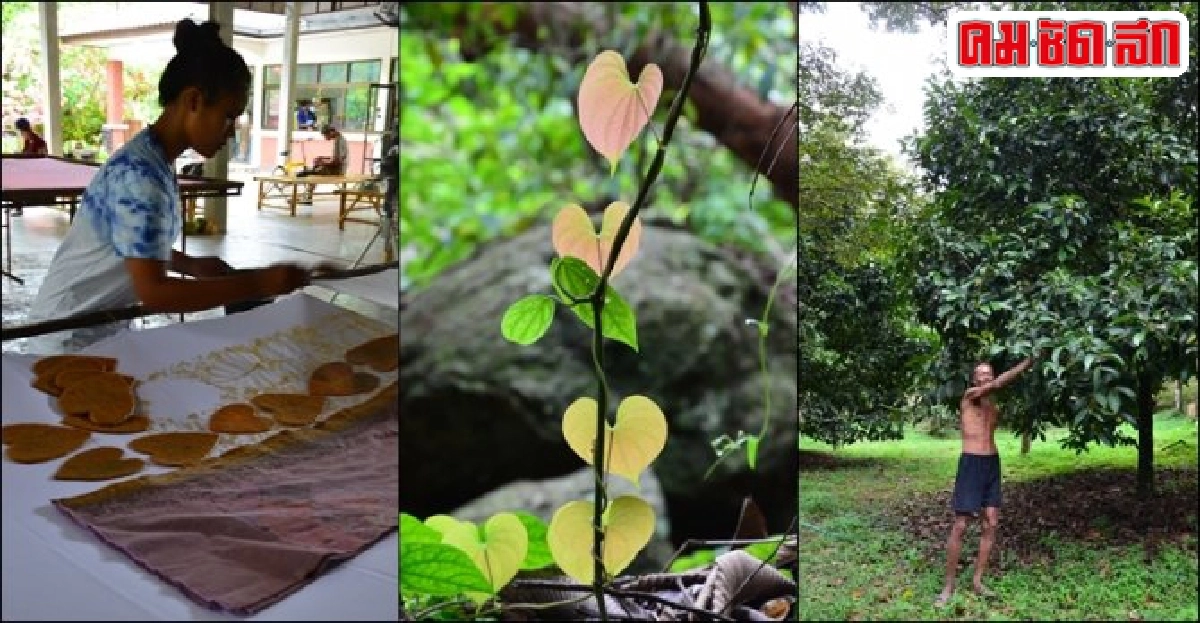 เที่ยวเมืองคอน นอนเมืองสามธรรม เที่ยวเมืองคอน นอนเมืองสามธรรม