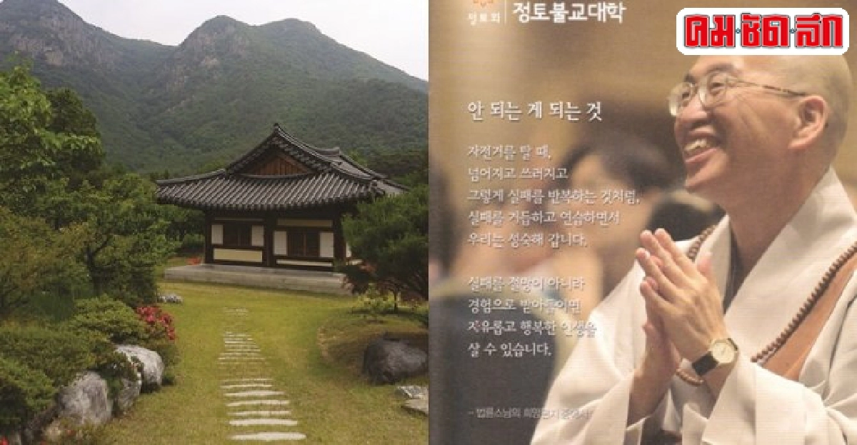 ต้นโพธิ์แตกกิ่งใบที่เกาหลี(In My Heart In My Seoul) ต้นโพธิ์แตกกิ่งใบที่เกาหลี(In My Heart In My Seoul)