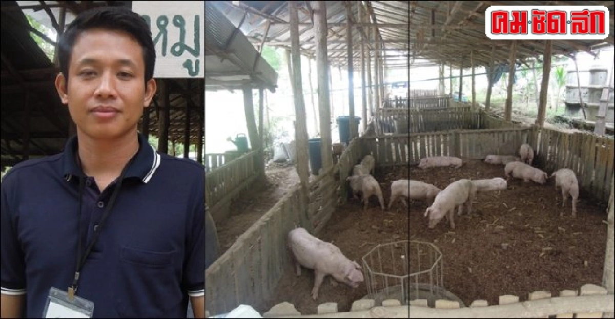 เลี้ยง 'หมูหลุมอินทรีย์' ทำเงิน วิถีพอเพียง 'โชคชัย มัยราช' เลี้ยง 'หมูหลุมอินทรีย์' ทำเงิน วิถีพอเพียง 'โชคชัย มัยราช'