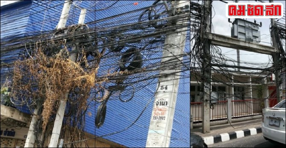 ฟ้องด้วยภาพ : รุงรัง...งามดี ฟ้องด้วยภาพ : รุงรัง...งามดี