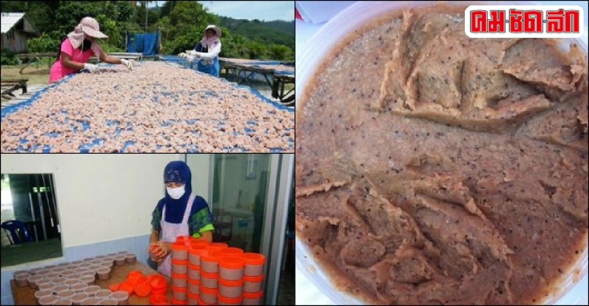 รวมกลุ่มผลิต 'กะปิกุ้งแท้' ของดีเกาะลันตา-การันตีอย. รวมกลุ่มผลิต 'กะปิกุ้งแท้' ของดีเกาะลันตา-การันตีอย.