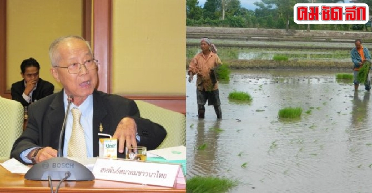 ตั้ง'สมาพันธ์ข้าวและชาวนา'อีกก้าวพิทักษ์กระดูกสันหลังของชาติ