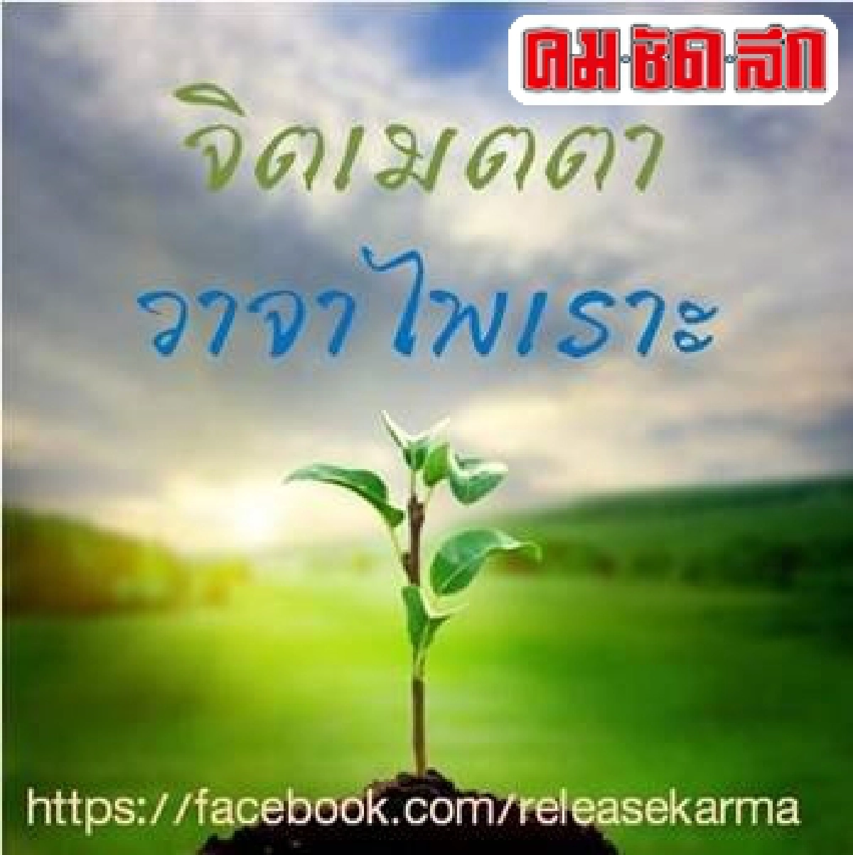เล่นหูเล่นตา:'ก่อตัว (1)'