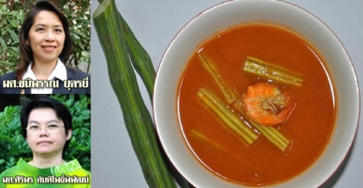 'ฝักมะรุม'ช่วยป้องกันมะเร็งลำไส้ใหญ่ 'ฝักมะรุม'ช่วยป้องกันมะเร็งลำไส้ใหญ่