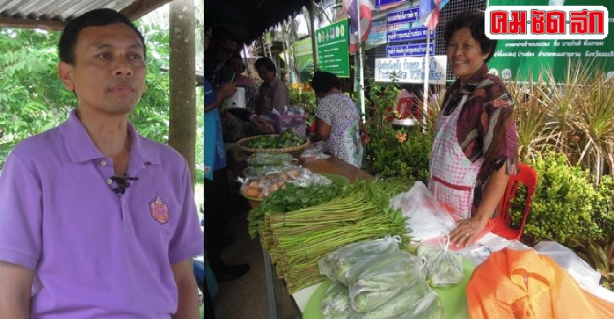 'บ้านซ่อง' ต้นแบบ ศก.พอเพียง อานิสงส์ศูนย์ศึกษาเขาหินซ้อน 'บ้านซ่อง' ต้นแบบ ศก.พอเพียง อานิสงส์ศูนย์ศึกษาเขาหินซ้อน