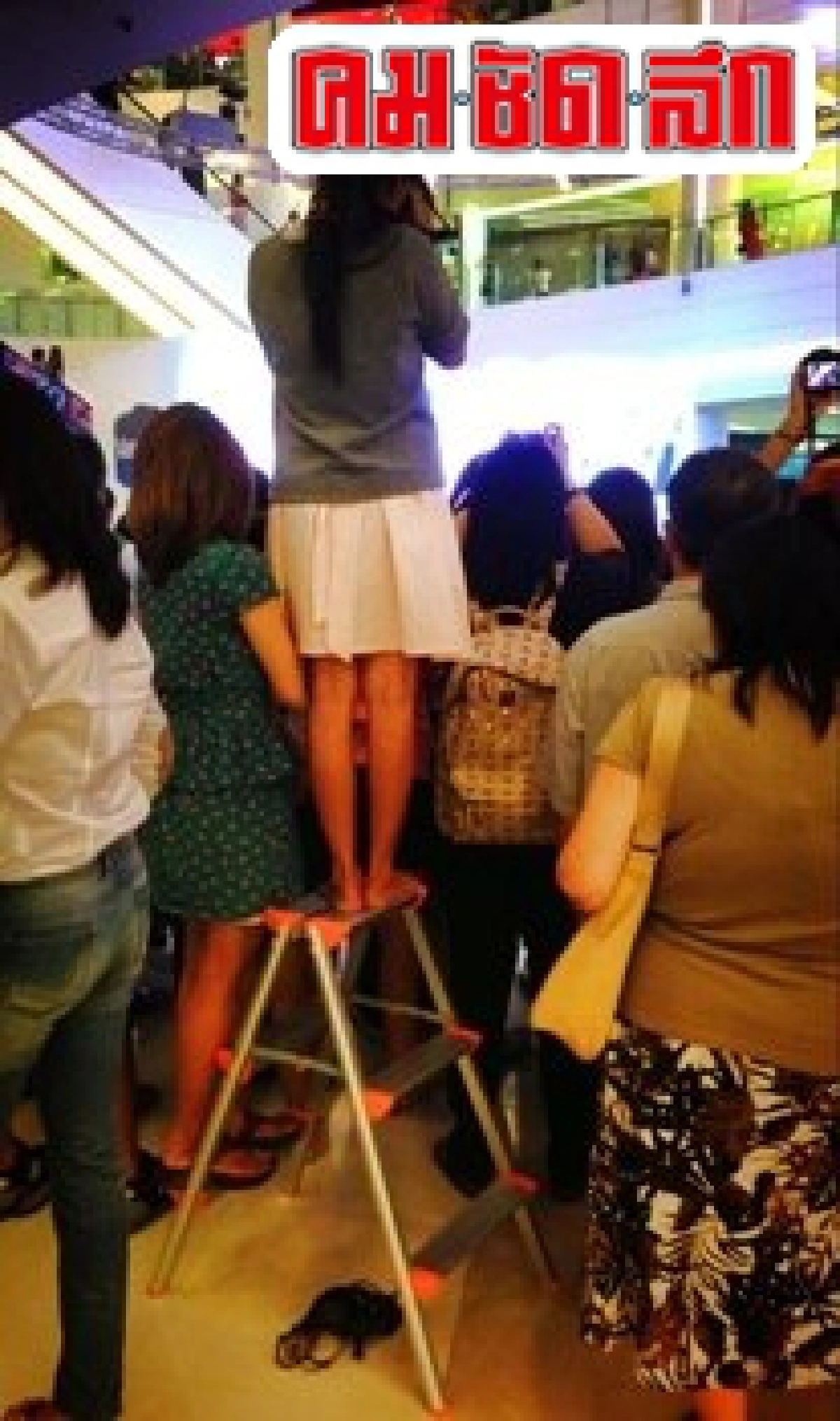 อิทธิพลแฟนคลับซุปตาร์ อิทธิพลแฟนคลับซุปตาร์