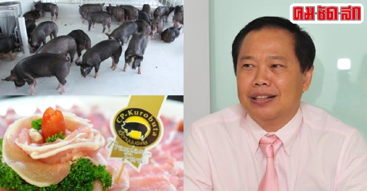 'ซีพี-คูโรบูตะ' หมูดำกินเจ นวัตกรรมเพื่อให้เนื้อหอม 'ซีพี-คูโรบูตะ' หมูดำกินเจ นวัตกรรมเพื่อให้เนื้อหอม