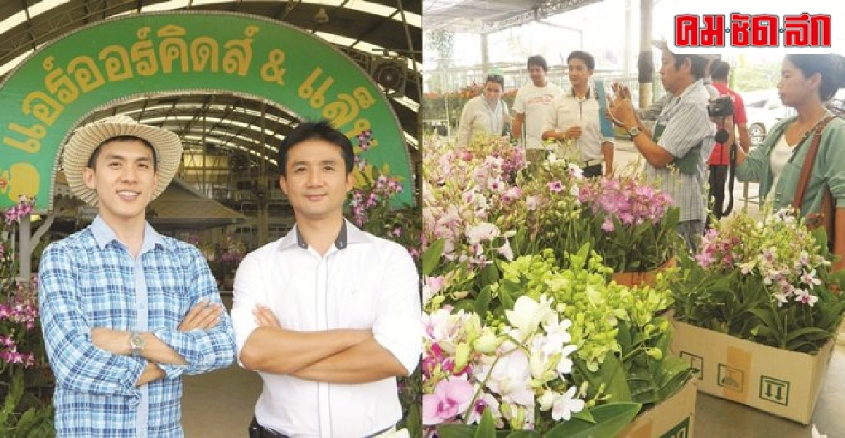คิดถึงกล้วยไม้นึกถึงแอร์ออร์คิดส์แนวคิดพันธพัฒน์ คุ้มวิเชียร