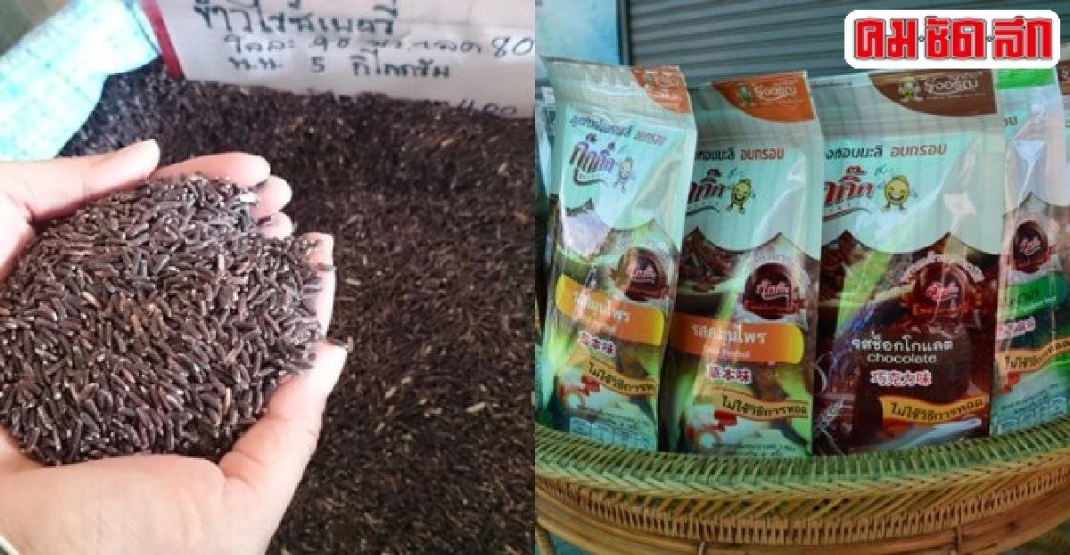 วิถีข้าวไทย ปลายพนมทวนถึงบ้านหนองขาว