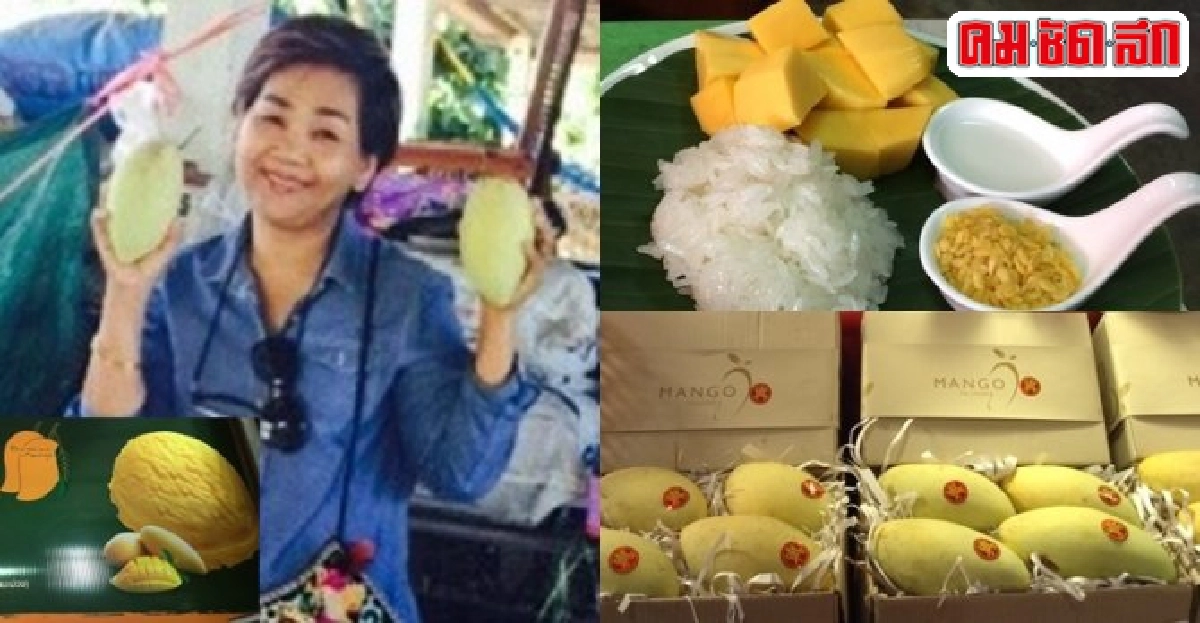 จัดเต็ม 'ผลิตภัณฑ์-เกษตร' งานตลาด 'อาหารปลอดภัย' จัดเต็ม 'ผลิตภัณฑ์-เกษตร' งานตลาด 'อาหารปลอดภัย'
