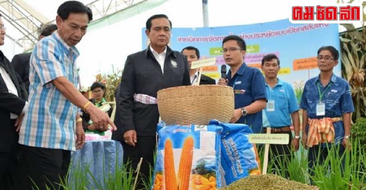 สหกรณ์ยก 'แม่กาษาโมเดล' ต้นแบบขับเคลื่อนศก.ชายแดนตาก