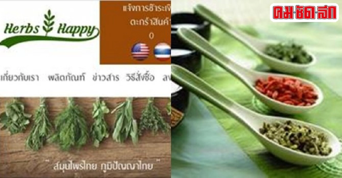 พลิกโฉมสมุนไพรไทยกับHerbshappy.com พลิกโฉมสมุนไพรไทยกับHerbshappy.com