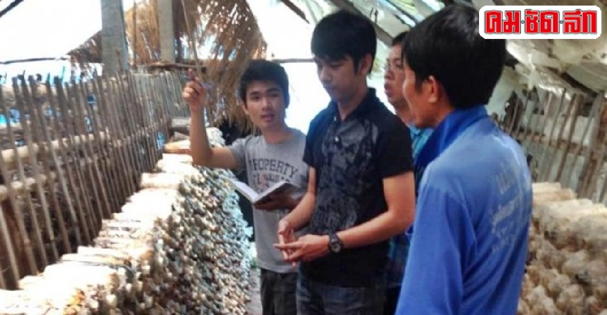 เด็ก มข.ช่วยเกษตรกรคิดสูตรลดต้นทุน 'ฟาร์มเห็ด'