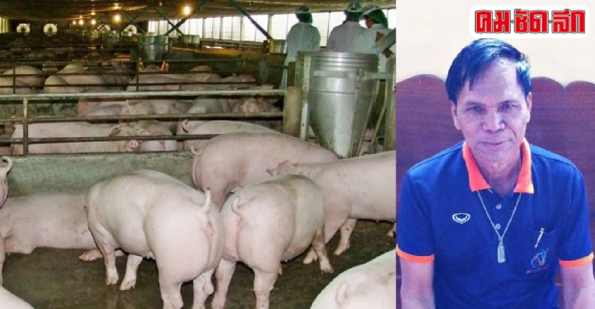 'ไพบูลย์ ผิวพิมพ์ดี' เลี้ยงหมูขุนสร้างอาชีพมั่นคง