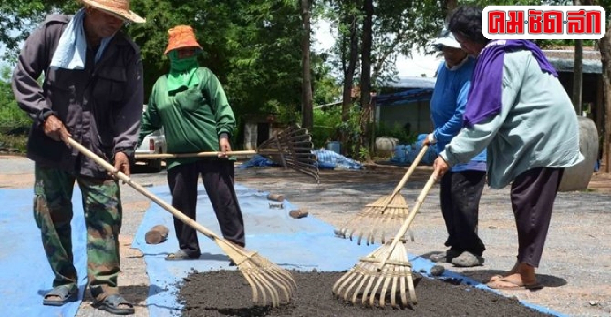 รวมชาว 'ดงสมบูรณ์' ผลิตปุ๋ยฯ ช่วยเกษตรกร