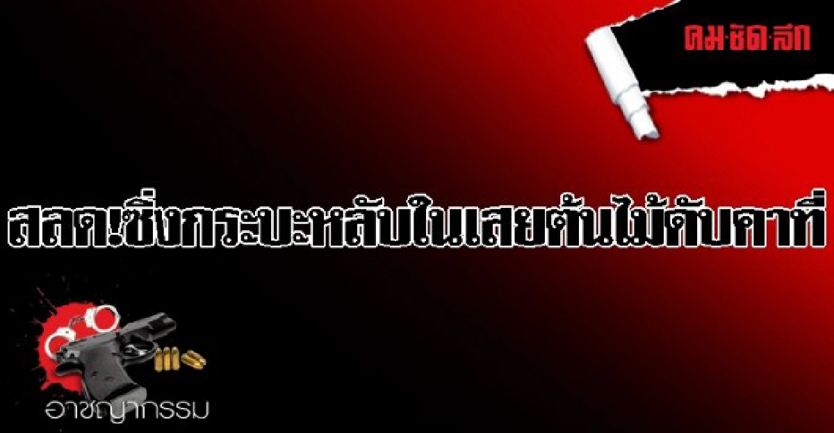สลด!ซิ่งกระบะหลับในเสยต้นไม้ดับคาที่ สลด!ซิ่งกระบะหลับในเสยต้นไม้ดับคาที่