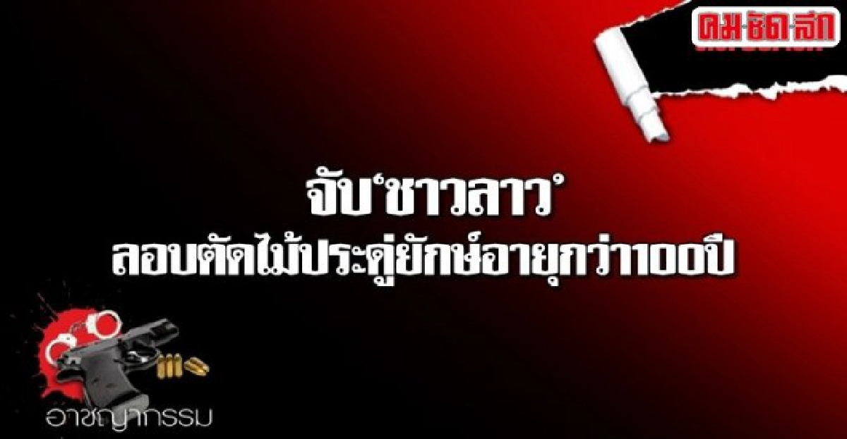 จับชาวลาวลอบตัดไม้ประดู่ยักษ์อายุกว่า100ปี จับชาวลาวลอบตัดไม้ประดู่ยักษ์อายุกว่า100ปี