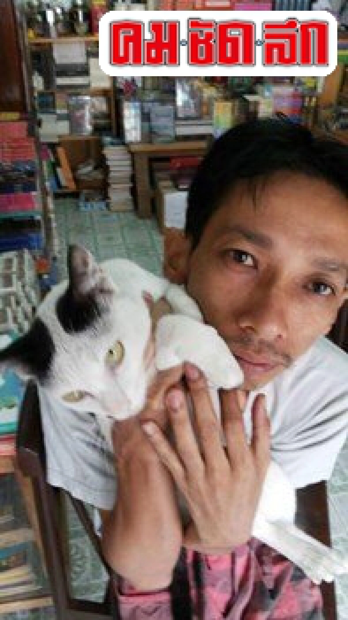 ศิลป์แห่งแผ่นดิน :'ยังดีที่มีแมว' ศิลป์แห่งแผ่นดิน :'ยังดีที่มีแมว'