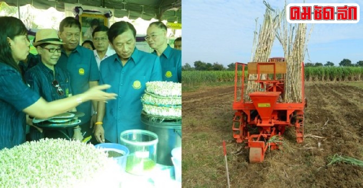 โฟกัสงานวิจัยภาคการเกษตรแนวทางแก้ปัญหาอย่างยั่งยืน โฟกัสงานวิจัยภาคการเกษตรแนวทางแก้ปัญหาอย่างยั่งยืน